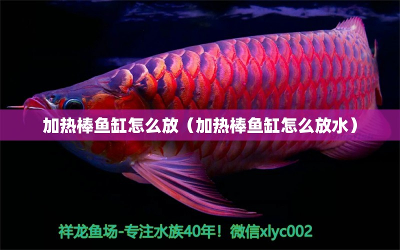 加熱棒魚缸怎么放（加熱棒魚缸怎么放水）