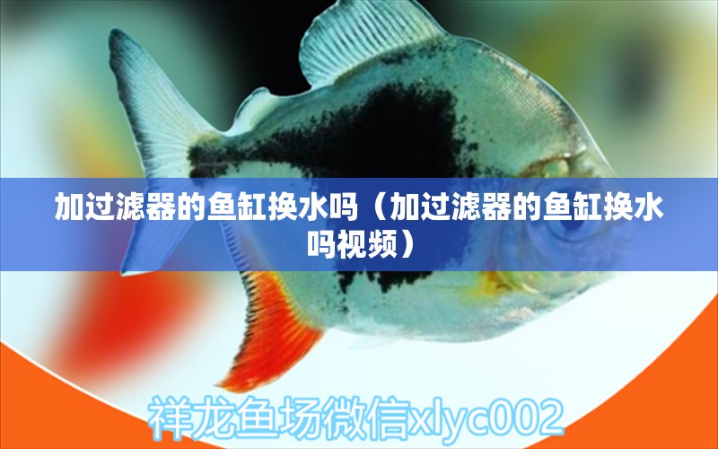 加過濾器的魚缸換水嗎（加過濾器的魚缸換水嗎視頻） 速倍妥魚糧魚藥