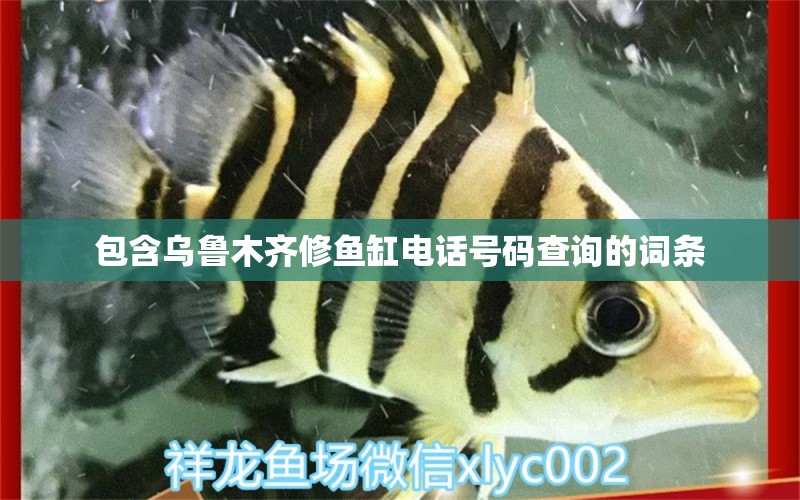 包含烏魯木齊修魚缸電話號碼查詢的詞條 野生地圖魚