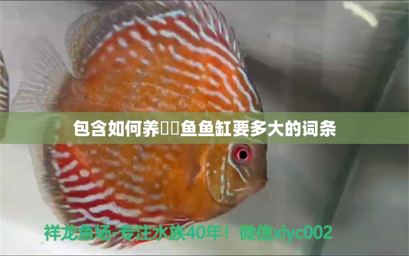 包含如何養(yǎng)鳑鲏?mèng)~魚(yú)缸要多大的詞條 養(yǎng)魚(yú)知識(shí)