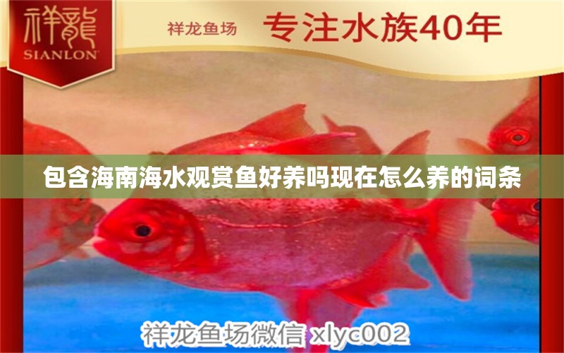 包含海南海水觀(guān)賞魚(yú)好養(yǎng)嗎現(xiàn)在怎么養(yǎng)的詞條 金三間魚(yú)