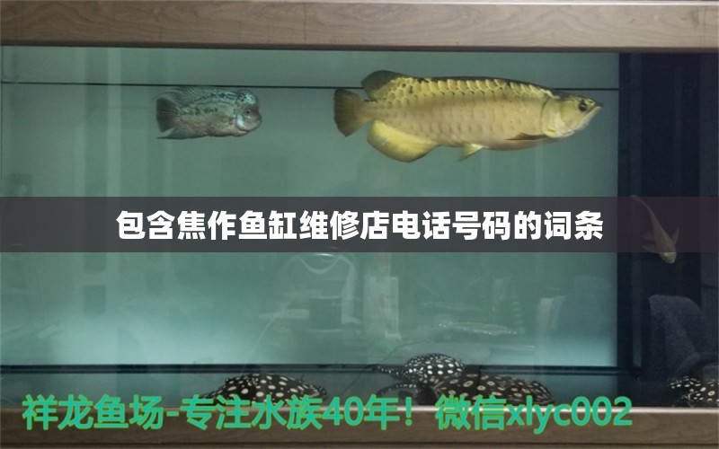 包含焦作魚缸維修店電話號碼的詞條 鸚鵡魚