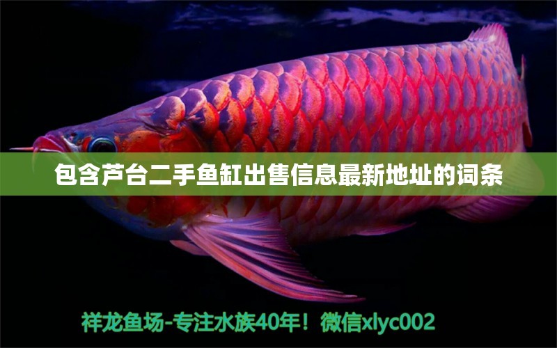 包含蘆臺二手魚缸出售信息最新地址的詞條