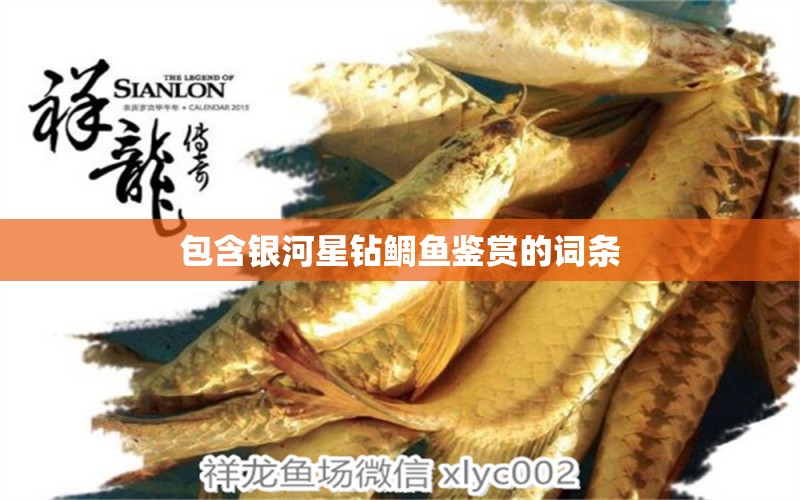 包含銀河星鉆鯛魚鑒賞的詞條 觀賞魚市場