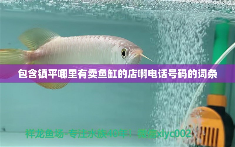 包含鎮(zhèn)平哪里有賣魚缸的店啊電話號碼的詞條 高背金龍魚