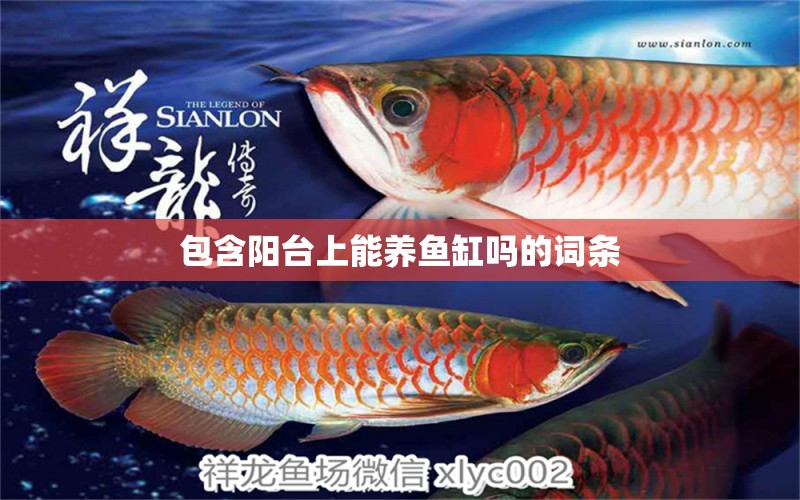 包含陽臺上能養(yǎng)魚缸嗎的詞條 細線銀版魚 第1張