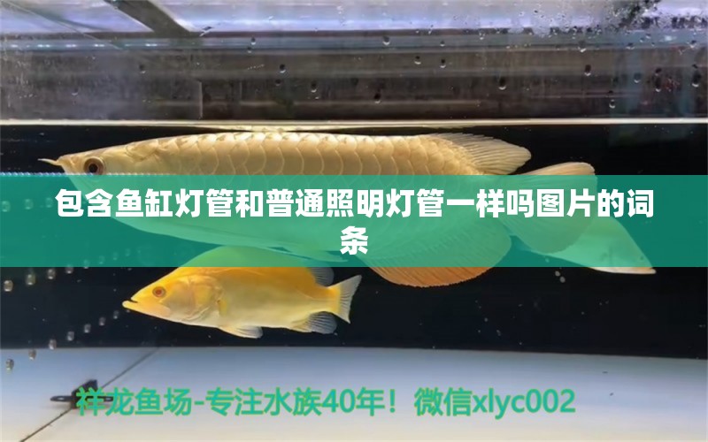 包含魚缸燈管和普通照明燈管一樣嗎圖片的詞條