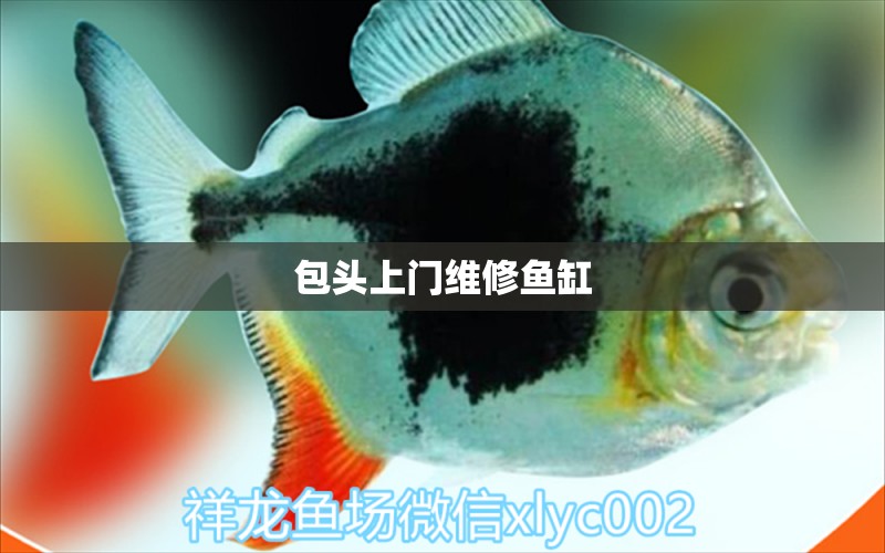 包頭上門維修魚缸 其他品牌魚缸