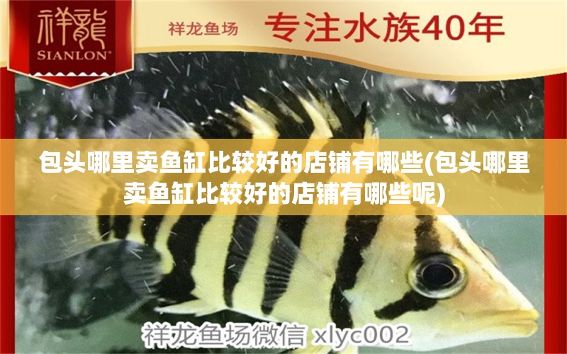 包頭哪里賣魚缸比較好的店鋪有哪些(包頭哪里賣魚缸比較好的店鋪有哪些呢) 紅魔王銀版魚