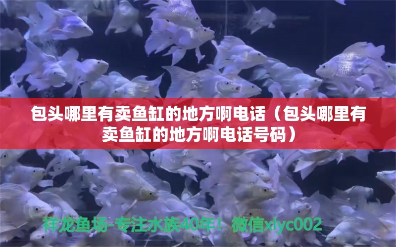 包頭哪里有賣魚缸的地方啊電話（包頭哪里有賣魚缸的地方啊電話號碼）