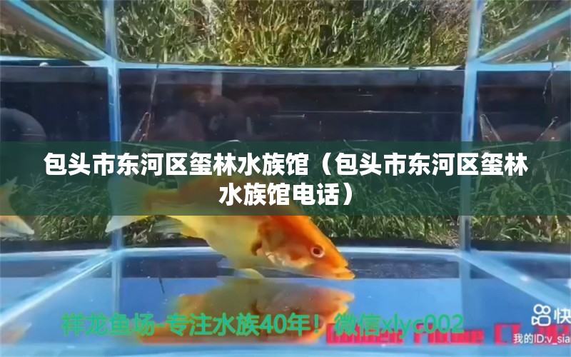 包頭市東河區(qū)璽林水族館（包頭市東河區(qū)璽林水族館電話）