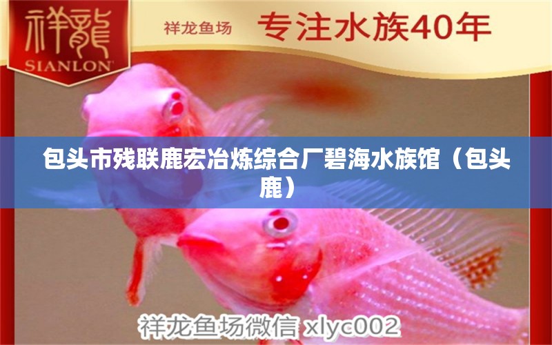 包頭市殘聯(lián)鹿宏冶煉綜合廠碧海水族館（包頭鹿）