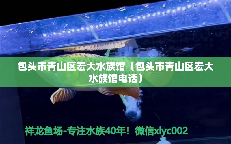 包頭市青山區(qū)宏大水族館（包頭市青山區(qū)宏大水族館電話）