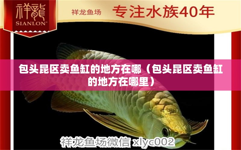 包頭昆區(qū)賣魚缸的地方在哪（包頭昆區(qū)賣魚缸的地方在哪里）