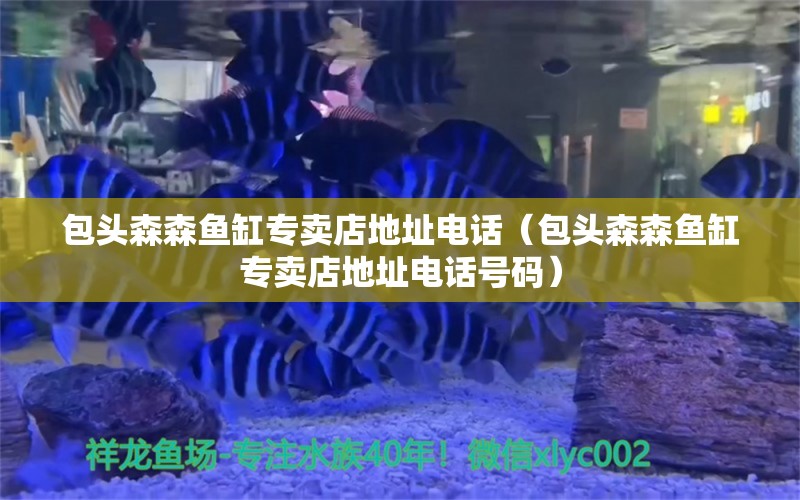 包頭森森魚缸專賣店地址電話（包頭森森魚缸專賣店地址電話號碼） 其他品牌魚缸