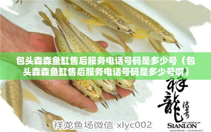 包頭森森魚缸售后服務(wù)電話號碼是多少號（包頭森森魚缸售后服務(wù)電話號碼是多少號?。? title=