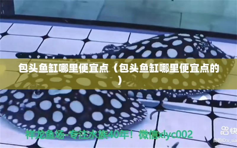 包頭魚缸哪里便宜點（包頭魚缸哪里便宜點的）