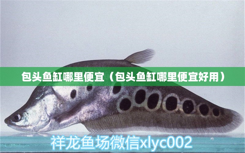 包頭魚缸哪里便宜（包頭魚缸哪里便宜好用）