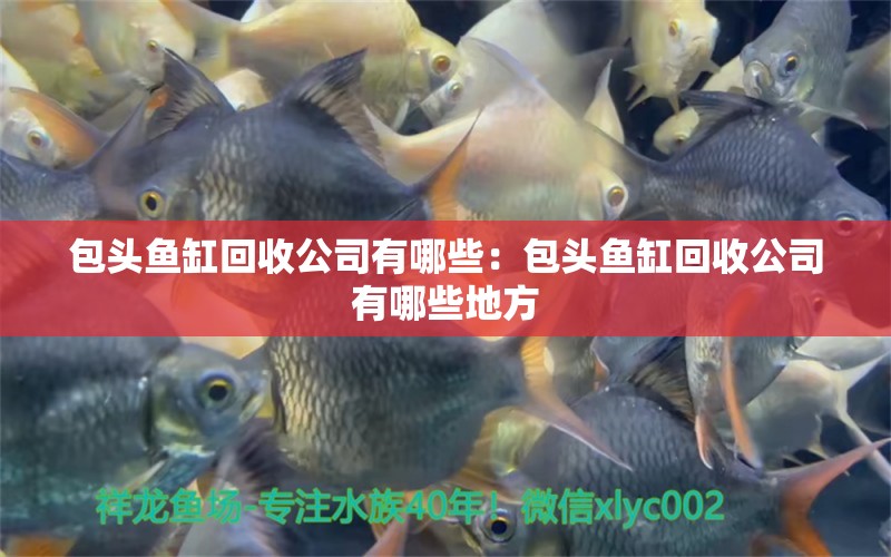 包頭魚(yú)缸回收公司有哪些：包頭魚(yú)缸回收公司有哪些地方