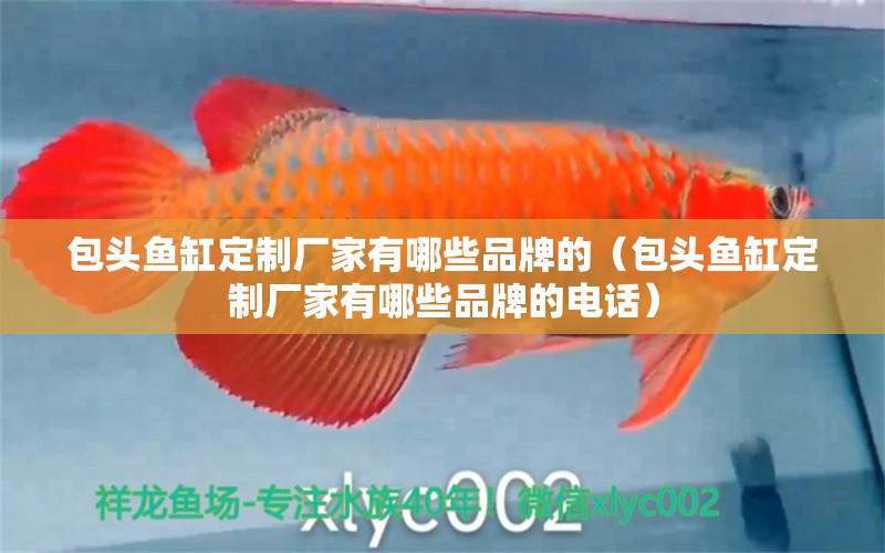 包頭魚缸定制廠家有哪些品牌的（包頭魚缸定制廠家有哪些品牌的電話）