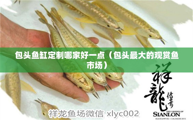 包頭魚缸定制哪家好一點（包頭最大的觀賞魚市場）