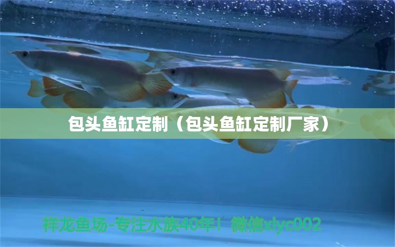 包頭魚缸定制（包頭魚缸定制廠家） 白子球鯊魚