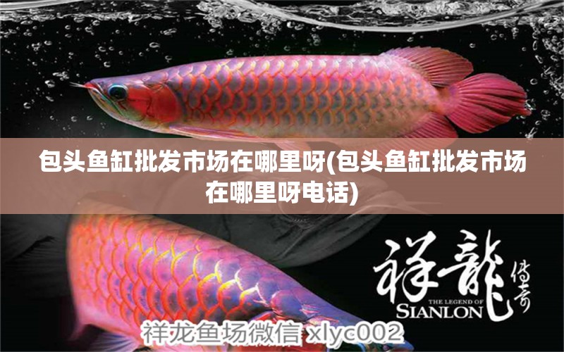 包頭魚缸批發(fā)市場在哪里呀(包頭魚缸批發(fā)市場在哪里呀電話) 龍魚芯片掃碼器