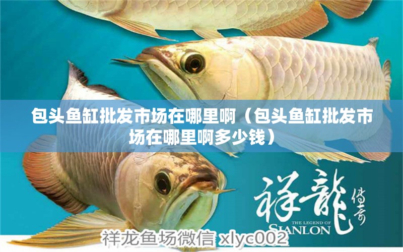 包頭魚(yú)缸批發(fā)市場(chǎng)在哪里啊（包頭魚(yú)缸批發(fā)市場(chǎng)在哪里啊多少錢） 過(guò)背金龍魚(yú)