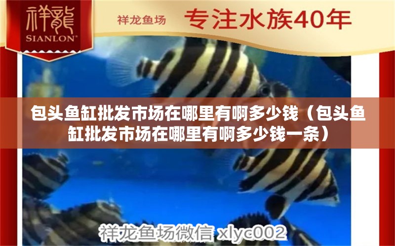 包頭魚缸批發(fā)市場在哪里有啊多少錢（包頭魚缸批發(fā)市場在哪里有啊多少錢一條）