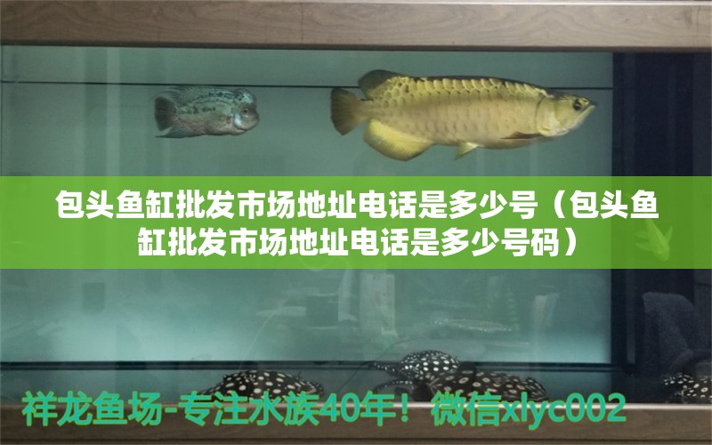 包頭魚缸批發(fā)市場(chǎng)地址電話是多少號(hào)（包頭魚缸批發(fā)市場(chǎng)地址電話是多少號(hào)碼） 祥龍水族醫(yī)院