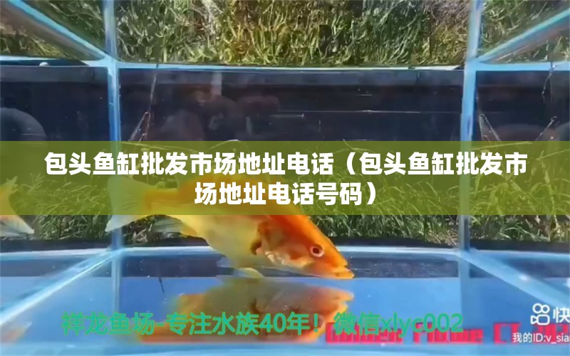 包頭魚缸批發(fā)市場地址電話（包頭魚缸批發(fā)市場地址電話號碼）