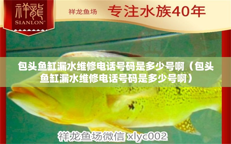 包頭魚缸漏水維修電話號(hào)碼是多少號(hào)?。ò^魚缸漏水維修電話號(hào)碼是多少號(hào)?。? title=