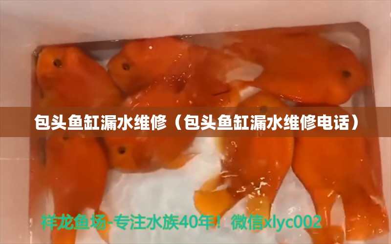 包頭魚缸漏水維修（包頭魚缸漏水維修電話） 祥龍水族醫(yī)院