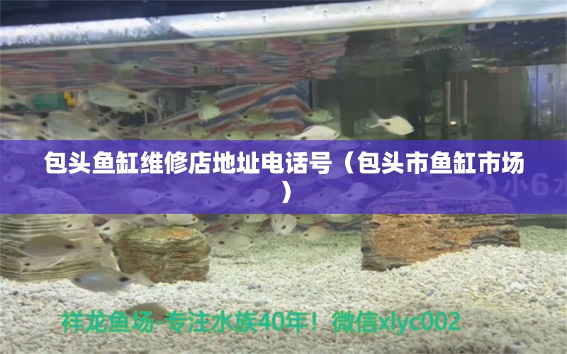 包頭魚缸維修店地址電話號（包頭市魚缸市場）