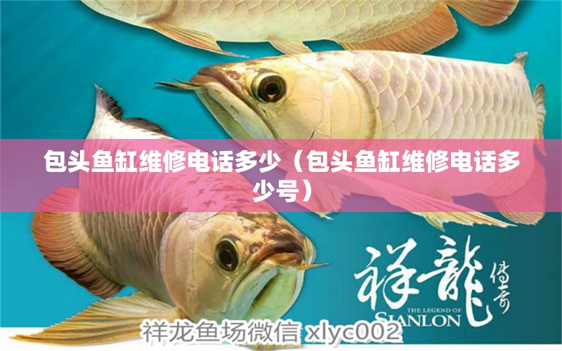 包頭魚缸維修電話多少（包頭魚缸維修電話多少號(hào)） 觀賞魚市場（混養(yǎng)魚）