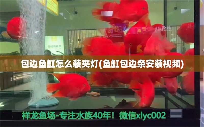 包邊魚缸怎么裝夾燈(魚缸包邊條安裝視頻) 哥倫比亞巨暴魚苗