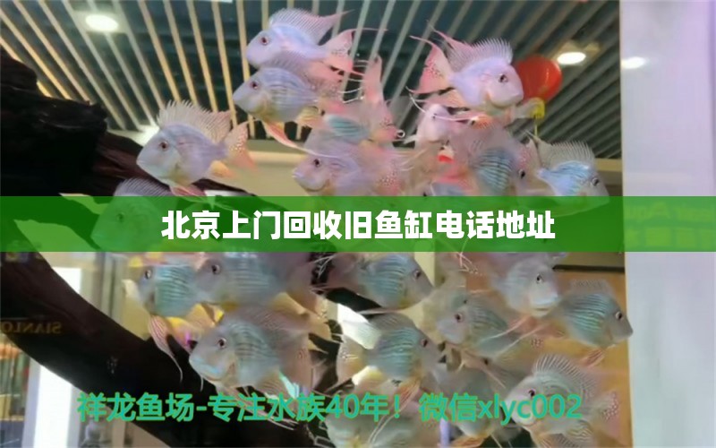 北京上門(mén)回收舊魚(yú)缸電話地址 祥龍水族醫(yī)院