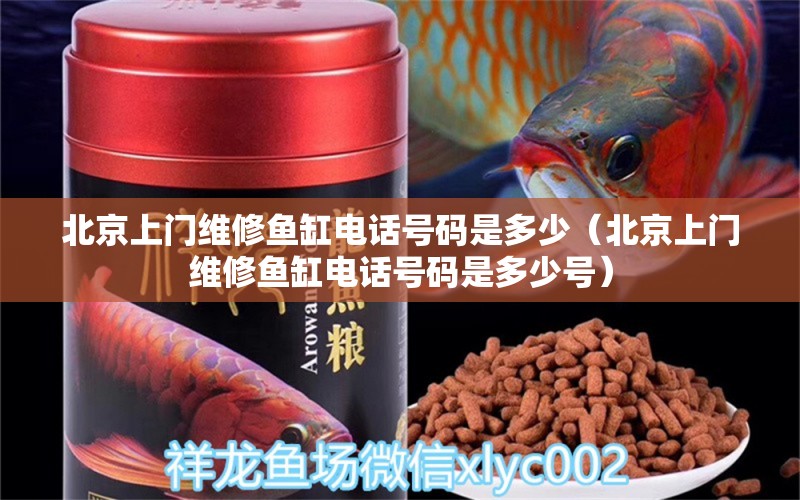 北京上門維修魚缸電話號(hào)碼是多少（北京上門維修魚缸電話號(hào)碼是多少號(hào)）