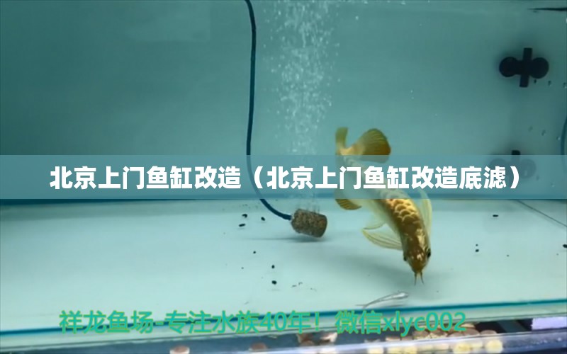 北京上門魚缸改造（北京上門魚缸改造底濾）