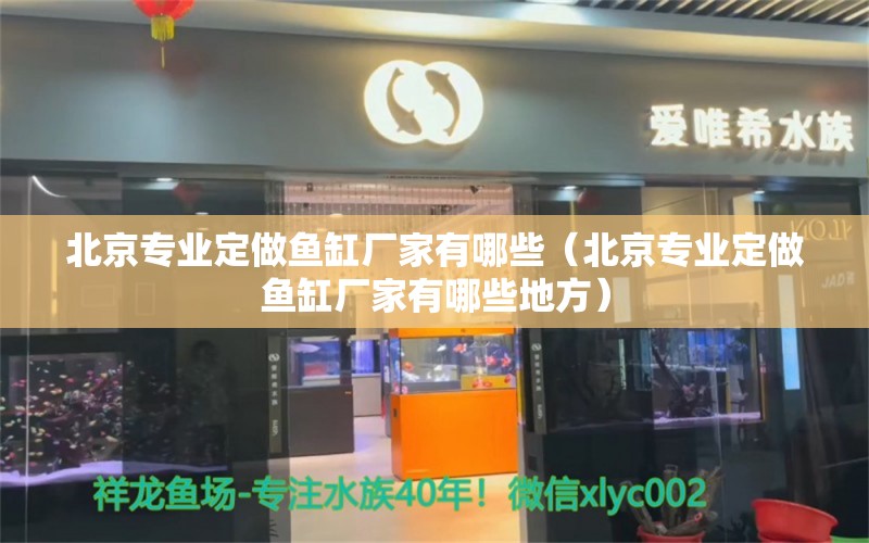 北京專業(yè)定做魚缸廠家有哪些（北京專業(yè)定做魚缸廠家有哪些地方） 祥龍魚場