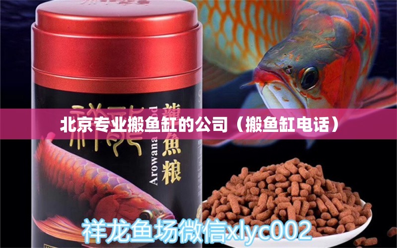 北京專業(yè)搬魚缸的公司（搬魚缸電話）