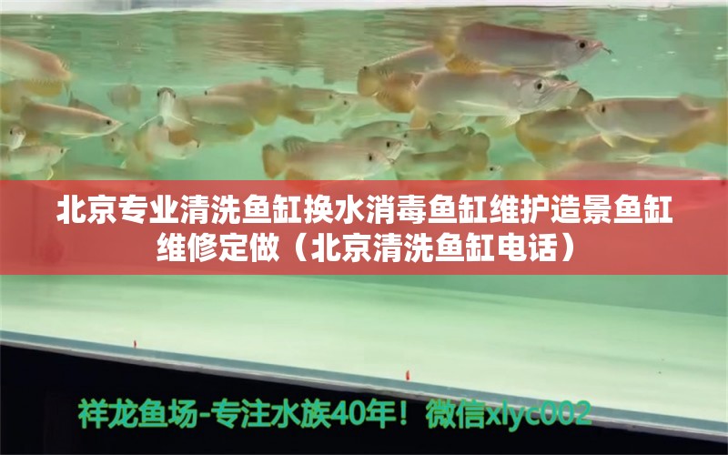 北京專業(yè)清洗魚缸換水消毒魚缸維護(hù)造景魚缸維修定做（北京清洗魚缸電話）