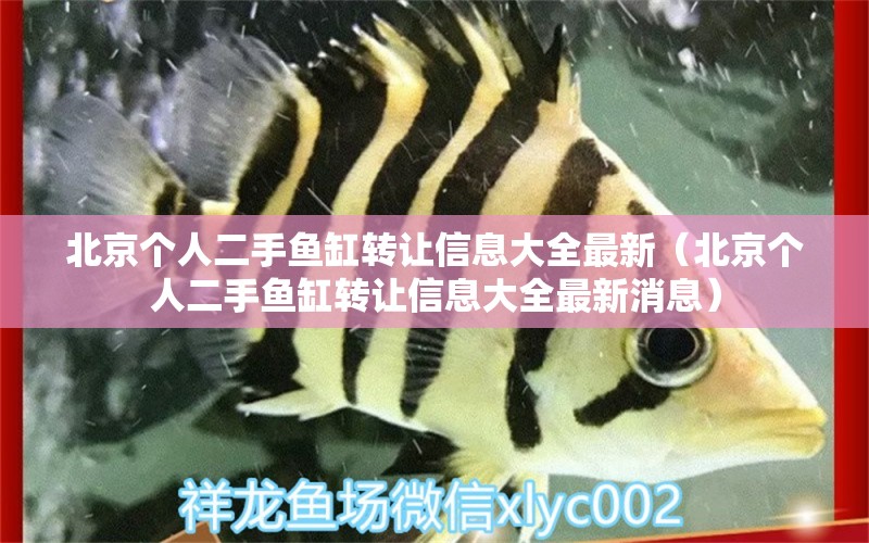 北京個人二手魚缸轉(zhuǎn)讓信息大全最新（北京個人二手魚缸轉(zhuǎn)讓信息大全最新消息） 觀賞魚市場（混養(yǎng)魚）