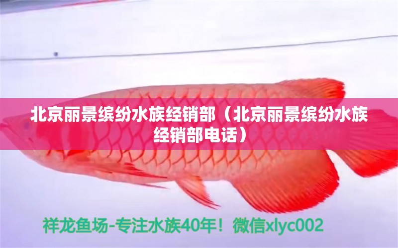 北京麗景繽紛水族經(jīng)銷部（北京麗景繽紛水族經(jīng)銷部電話） 全國水族館企業(yè)名錄