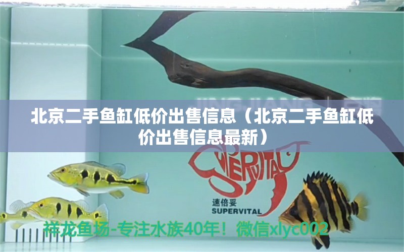 北京二手魚缸低價(jià)出售信息（北京二手魚缸低價(jià)出售信息最新）