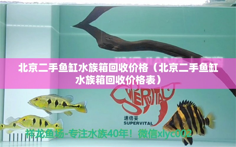 北京二手魚缸水族箱回收價(jià)格（北京二手魚缸水族箱回收價(jià)格表） 魚缸/水族箱