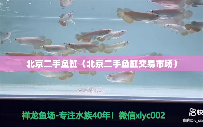 北京二手魚缸（北京二手魚缸交易市場） 其他品牌魚缸