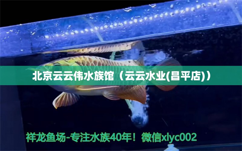 北京云云偉水族館（云云水業(yè)(昌平店)） 全國水族館企業(yè)名錄