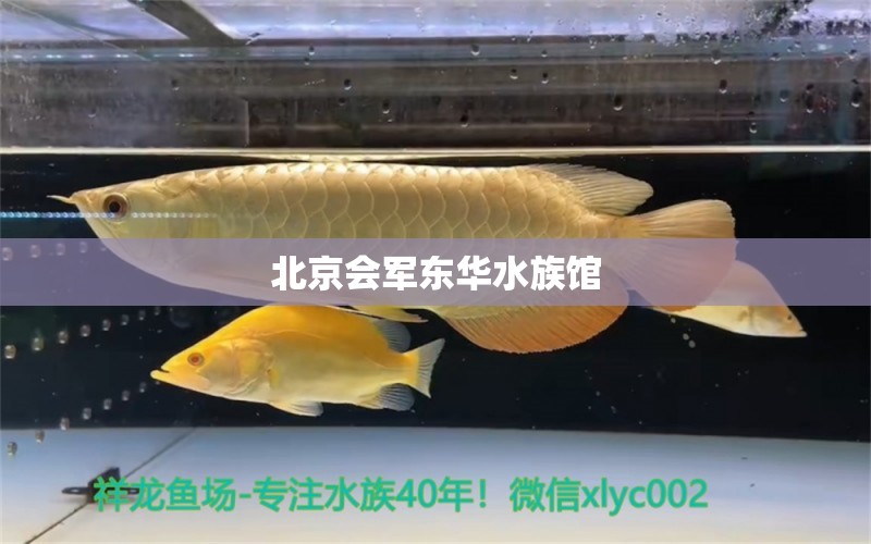 北京會(huì)軍東華水族館