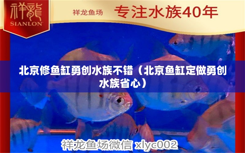 北京修魚缸勇創(chuàng)水族不錯（北京魚缸定做勇創(chuàng)水族省心）